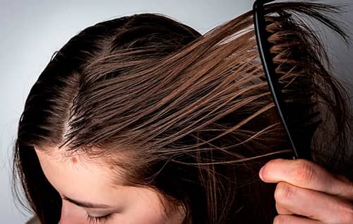 tahe blogs reportaje pelo grasa capilar